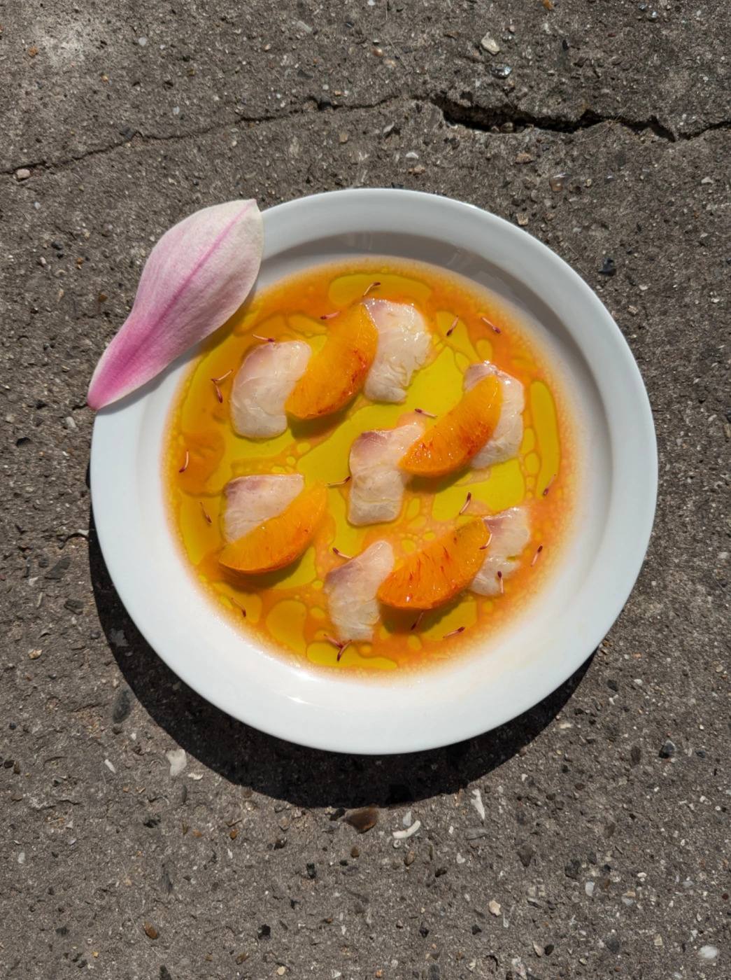 Crudo in an orange citrus dressing with a single pink petal, on a plate set on concrete.